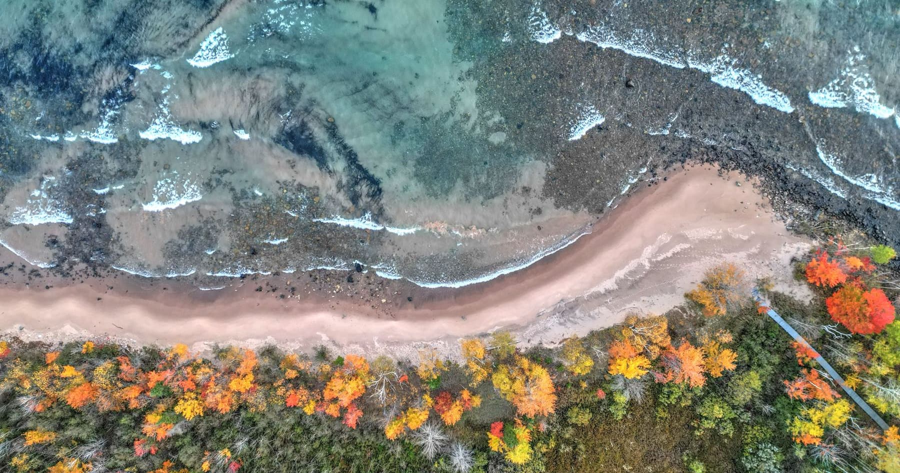 Overhead view of turquoise shallows meeting a pale sand beach, edged by autumn-colored trees.
